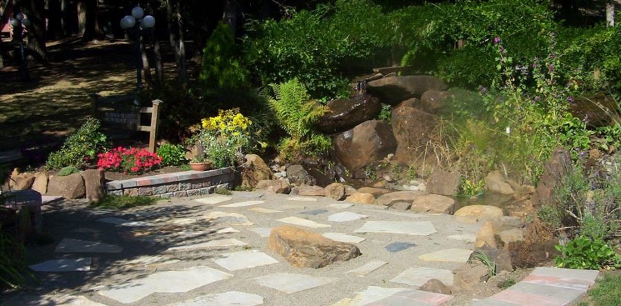 Spring => Daffodils & Irrigation Begins